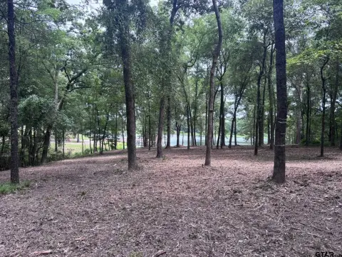 Waterfront Land Lot with Cove Access