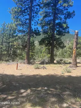 Gently Sloping Homesite