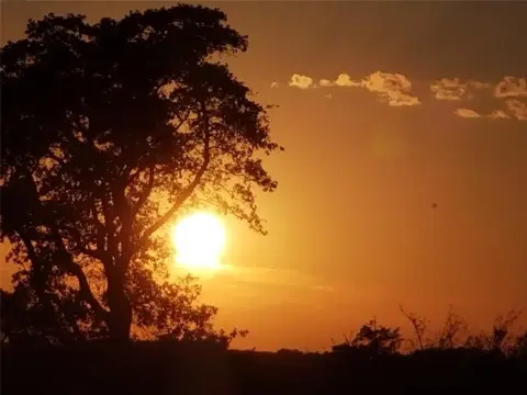 Land Near Lake Palestine