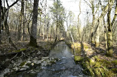 Wooded Land with Seasonal Creek