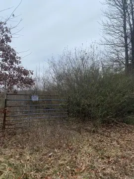 40 Acres in Austin, Arkansas