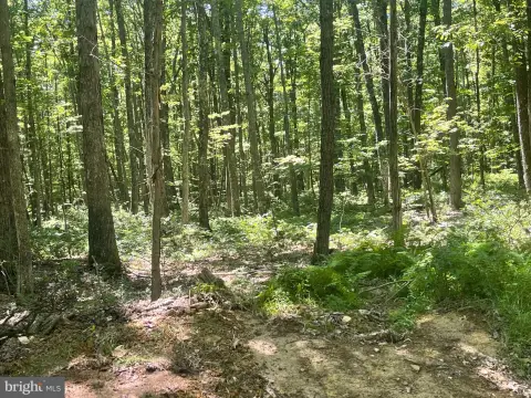 Recreation Land with On-Site Power