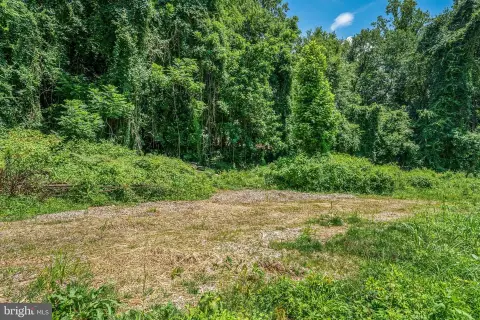 2.3-Acre Lot in Coveted McLean