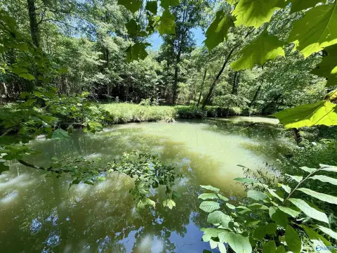 Recreation Land with Creek Frontage