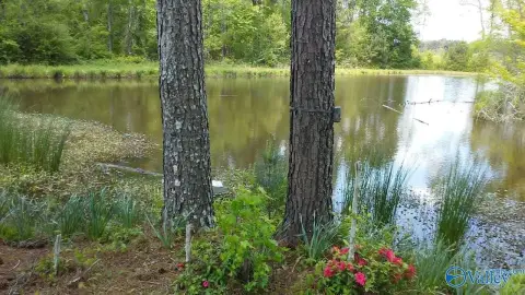Timbered Recreational Land With Pond