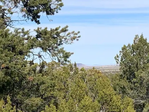 Happy Jack Horse Property