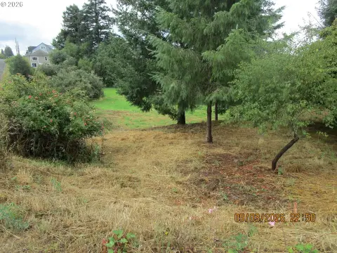 C-2 Commercial Land Parcel