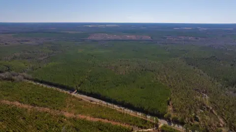 Recreational Hunting and Timber Land