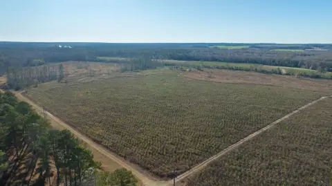 Recreational Timber Land with Creek