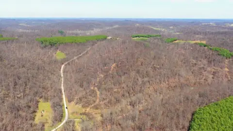 Secluded Hardwood Forest Hunting Land