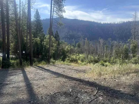 Land with Creek Access