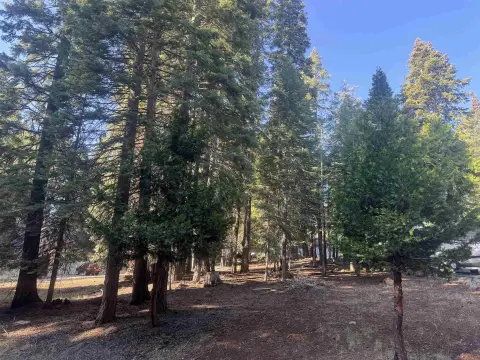 Lake Almanor Land For Sale