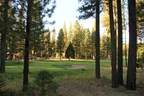 Golf Course Lot in Clio
