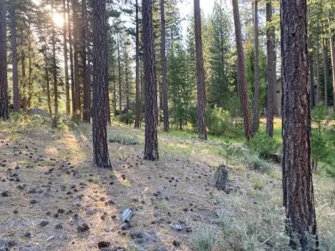 Corner Lot in Clio, CA
