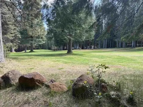 Lake Almanor West Buildable Lot