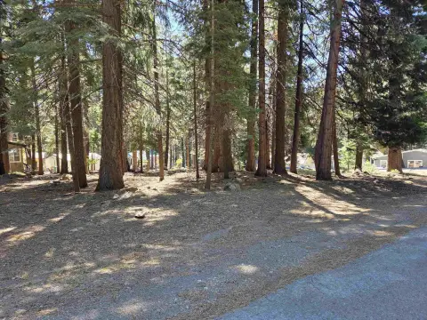 Lake Almanor Treed Corner Lot