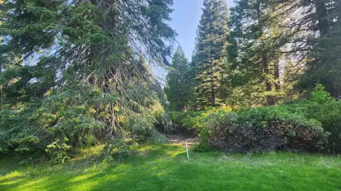 Golf Course Lot in Almanor