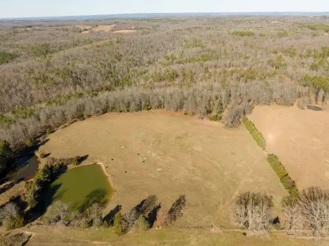 80 Acres in Cleburne County