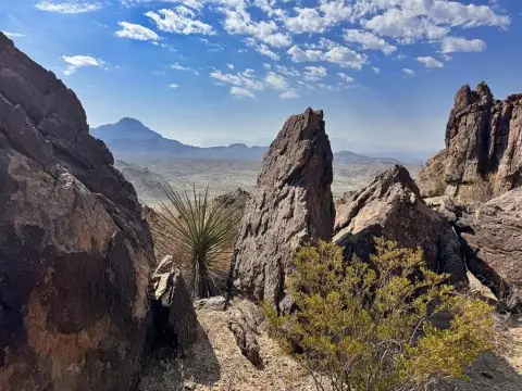 100 Acres Near Big Bend