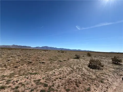 Land in Dolan Springs, AZ