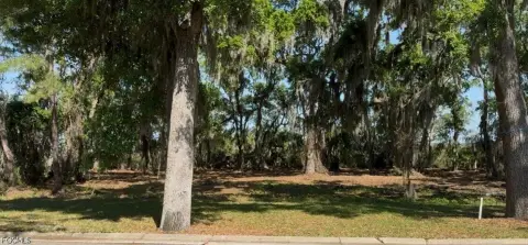 Marsh Front Homesites Opportunity