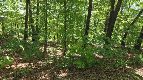 Bella Vista Land Opportunity
