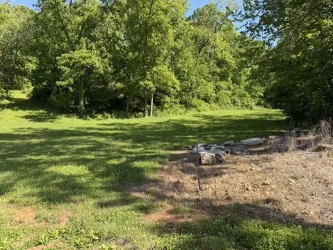 Rogers Land with Walnut Trees