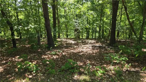 Residential Land in Bella Vista