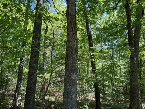 Land with Hardwood Trees