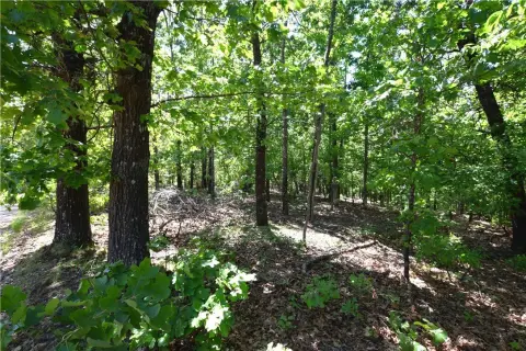 Recreational Land Homesite