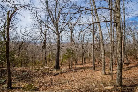 Fayetteville Land with Ozark Views