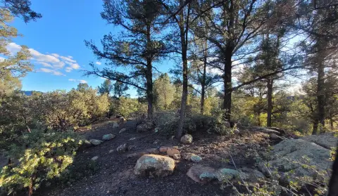 Residential Land in Chaparral Pines