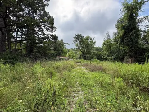 Recreational Land with Private Well