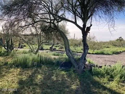 Residential Land in New River