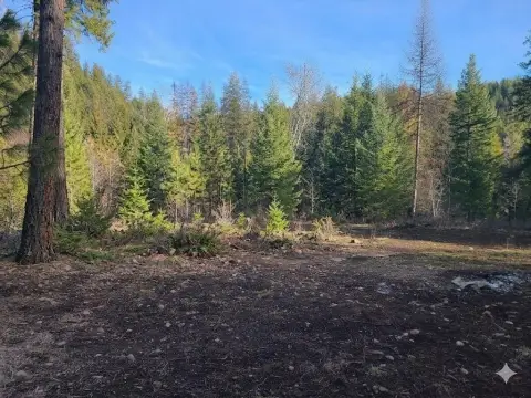 Kettle Falls Timbered Acres