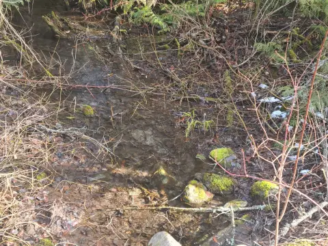 Kettle Falls Timbered Acres