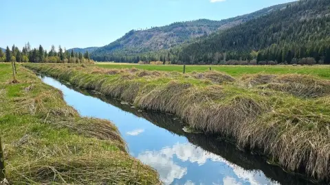 Lush Pasture & Timber Acreage