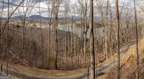 Mountain Property with Lake Views