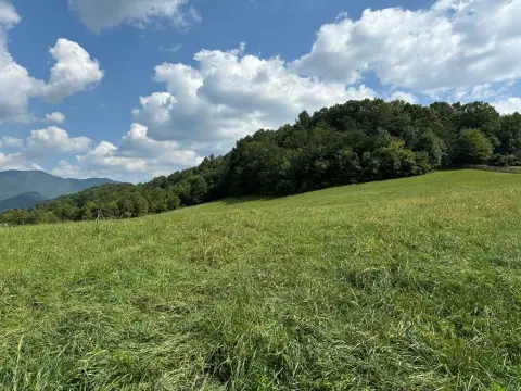 Hayesville, NC Acreage with Views