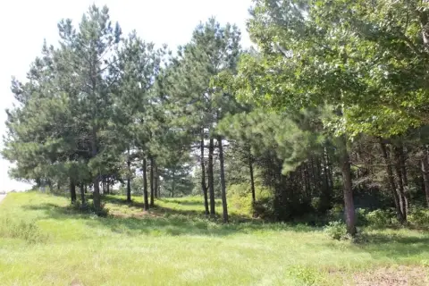 Residential Lots in Cypress Hills