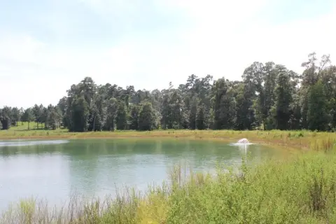 Residential Lots in Cypress Hills