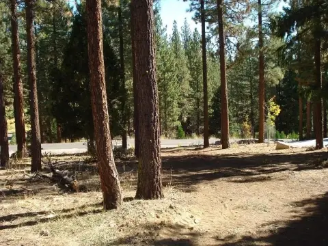 Residential Land Lot with Creek Backing