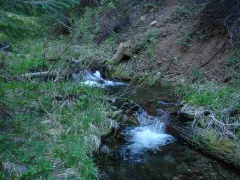 Patented Mining Claim and Timberland