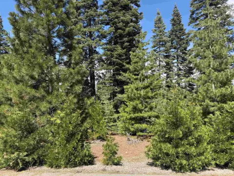 Wooded Mountain Home Lot