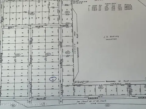 Residential Lot in Brooksville, FL