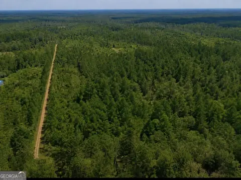 Wooded Hunting and Home Tract