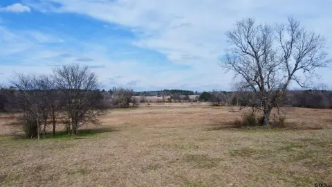 Pasture Land in Linden, TX