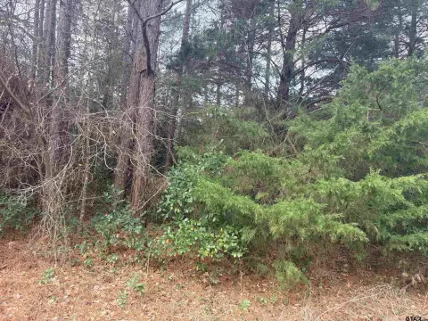 Residential Lot in Gated Subdivision