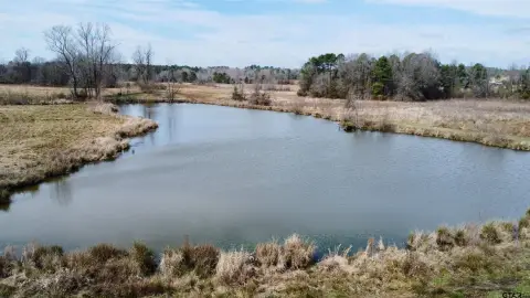 Versatile Acreage in Linden, TX