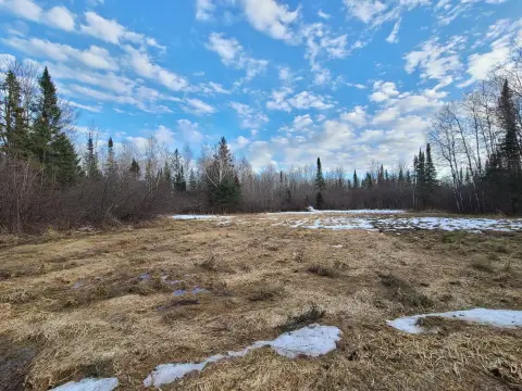 Prentice, WI Land Opportunity